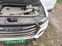 Haval H6 2021 National Trend 1.5T Automatic Champion Edition - ფოტო 20