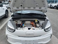 SAIC Corey Wei CLEVER 302km New Four-Seat Super Version - ფოტო 16