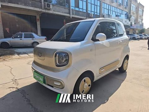 2024 FAW Besturn Xiaoma 170km Yuanqi Ma - ავტომობილი ჩინეთიდან