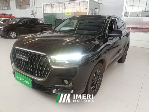 2023 Haval H6 National Trend Edition 1.5T Automatic Urban Version - ავტომობილი ჩინეთიდან