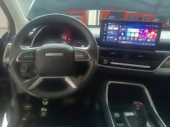 Haval H6 National Trend Edition 1.5T Automatic Urban Version - ფოტო 10