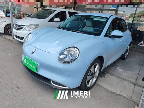 2024 ORA Good Cat 2023 401km Standard Range Luxury LFP - ავტომობილი ჩინეთიდან