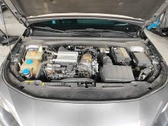 Trumpchi Leopard 270T DCT J16 - ფოტო 16
