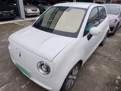 Ora Black Cat 351km Standard Edition Ternary Lithium - ფოტო 1