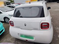 Ora Black Cat 351km Standard Edition Ternary Lithium - ფოტო 6