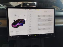 Tesla Model Y 2021 Standard Range RWD - ფოტო 12