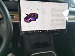 Tesla Model Y 2021 Standard Range RWD - ფოტო 13