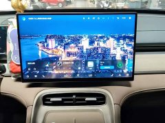 Chery Tiggo 8 PLUS C-DM 1.5T 116km Deluxe 5-Seater - ფოტო 13