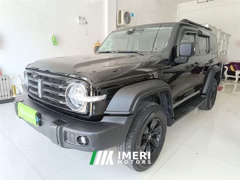 2021 Tank 300 Off-Road Edition 2.0T Conqueror - ავტომობილი ჩინეთიდან