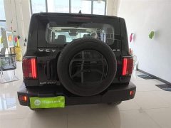 Tank 300 Off-Road Edition 2.0T Conqueror - ფოტო 6