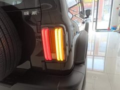 Tank 300 Off-Road Edition 2.0T Conqueror - ფოტო 8