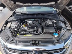 Volkswagen Sagitar 300TSI DSG Excellence Edition - ფოტო 20
