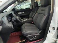 Dongfeng Haoji 2022 Mach Twin-Engine 1.5T MHD Dream Edition - ფოტო 15