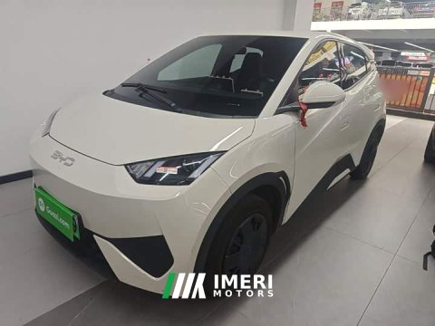 2025 BYD Seagull Smart Drive 305km Vitality Edition - ავტომობილი ჩინეთიდან