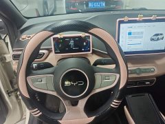 BYD Seagull Smart Drive 305km Vitality Edition - ფოტო 11
