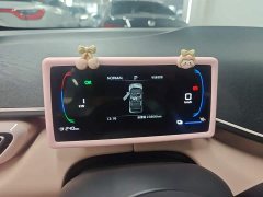 BYD Seagull Smart Drive 305km Vitality Edition - ფოტო 12