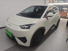 BYD Seagull Smart Drive 305km Vitality Edition - ფოტო 2