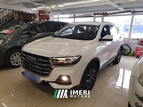 2021 Haval H6 National Trend Edition 1.5T Automatic Urban Version - ავტომობილი ჩინეთიდან