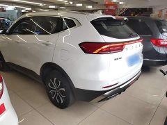 Haval H6 National Trend Edition 1.5T Automatic Urban Version - ფოტო 5