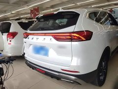 Haval H6 National Trend Edition 1.5T Automatic Urban Version - ფოტო 6