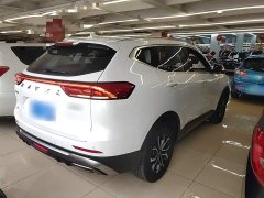 Haval H6 National Trend Edition 1.5T Automatic Urban Version - ფოტო 7