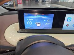 Wuling Binguo 2024 333km Joy Edition - ფოტო 12