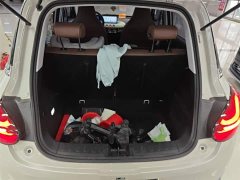 Wuling Binguo 2024 333km Joy Edition - ფოტო 19