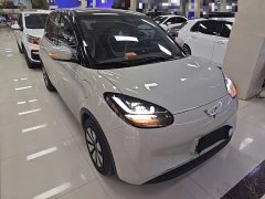 Wuling Binguo 2024 333km Joy Edition - ფოტო 4