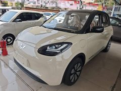 Wuling Binguo 2024 333km Joy Edition - ფოტო 1