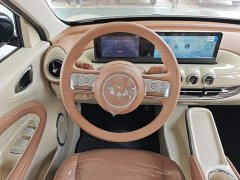 Wuling Binguo 2024 333km Joy Edition - ფოტო 11