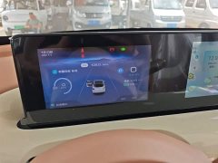Wuling Binguo 2024 333km Joy Edition - ფოტო 12