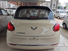Wuling Binguo 2024 333km Joy Edition - ფოტო 6