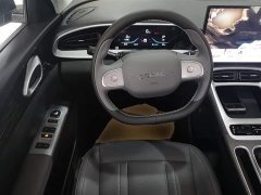 Geely Star Wish 310km Dream Edition - ფოტო 11