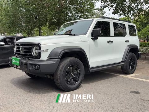 2022 Tank 300 2021 Off-Road Edition 2.0T Conqueror - ავტომობილი ჩინეთიდან