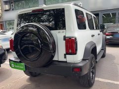 Tank 300 2021 Off-Road Edition 2.0T Conqueror - ფოტო 10