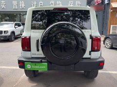Tank 300 2021 Off-Road Edition 2.0T Conqueror - ფოტო 9