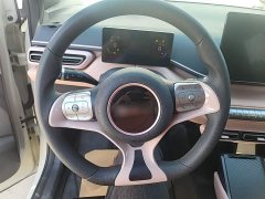BYD Seagull 305km Vitality Edition - ფოტო 11