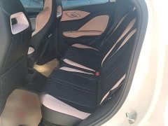 BYD Seagull 305km Vitality Edition - ფოტო 17
