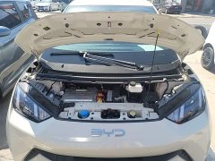 BYD Seagull 305km Vitality Edition - ფოტო 20
