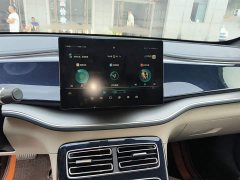 BYD Qin PLUS 2021 EV 500KM Luxury - ფოტო 13