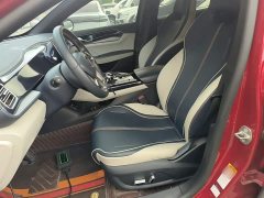 BYD Qin PLUS 2021 EV 500KM Luxury - ფოტო 15