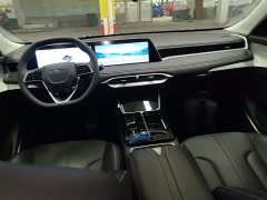 Nissan Venucia V DD-i Killer Whale 150km Joy Edition - ფოტო 10