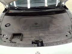 Nissan Venucia V DD-i Killer Whale 150km Joy Edition - ფოტო 20