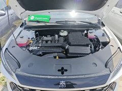 BYD Qin PLUS 2025 DM-i Smart Drive 128KM Entry-Level - ფოტო 20