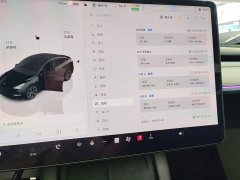 Tesla Model Y 2023 Long Range All-Wheel Drive - ფოტო 12