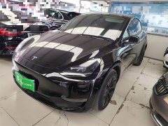 Tesla Model Y 2023 Long Range All-Wheel Drive - ფოტო 2