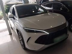 BYD Song L DM-i 112km Transcendence - ფოტო 1