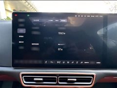 Li Auto L9 Max - ფოტო 9