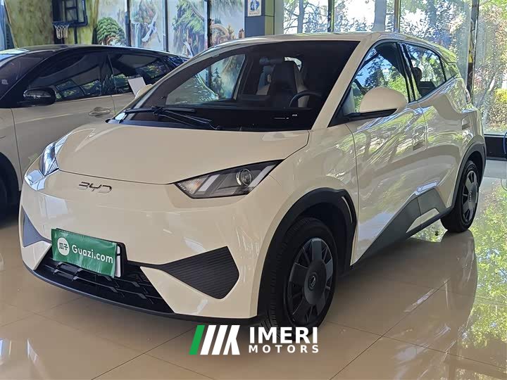 BYD Seagull 305km Vitality Edition - ავტომობილი ჩინეთიდან