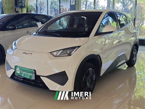 2025 BYD Seagull 305km Vitality Edition - ავტომობილი ჩინეთიდან